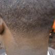 Tapered Back